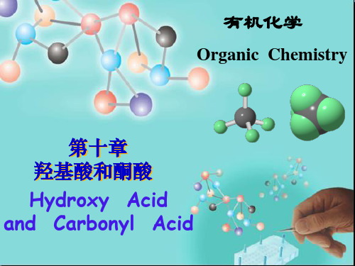 第十章 羟基酸和酮酸