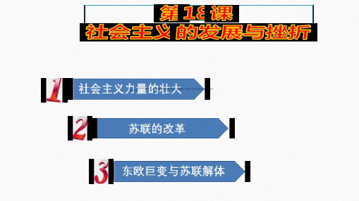 人教部编版历史九下第18课 社会主义的发展和挫折课件共21张
