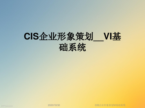 CIS企业形象策划VI基础系统