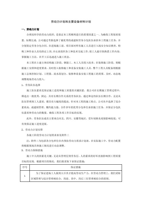 劳动力计划和主要设备材料计划