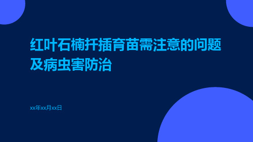 红叶石楠扦插育苗需注意的问题及病虫害防治