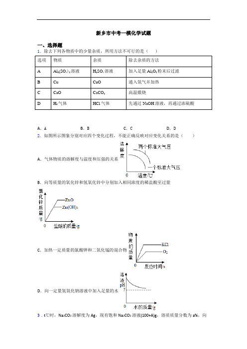 新乡市中考一模化学试题