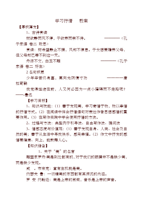 【精编】初中作文指导：学习抒情   教案