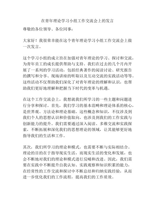 在青年理论学习小组工作交流会上的发言