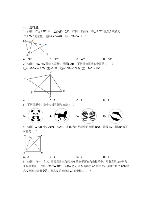 (常考题)人教版初中数学九年级数学上册第三单元《旋转》检测(答案解析)(3)