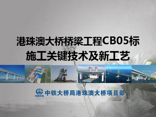 港珠澳大桥桥梁工程CB05标施工关键技术及新工艺(2014)ppt