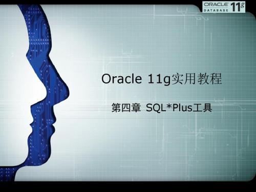 Oracle数据库开发实用教程第四章