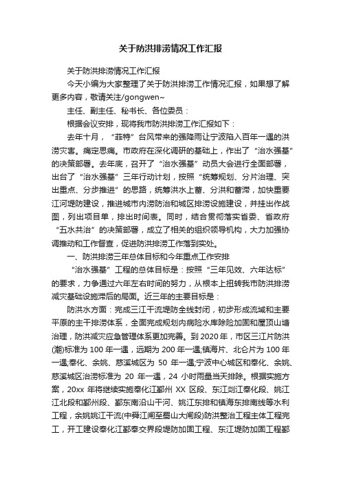 关于防洪排涝情况工作汇报