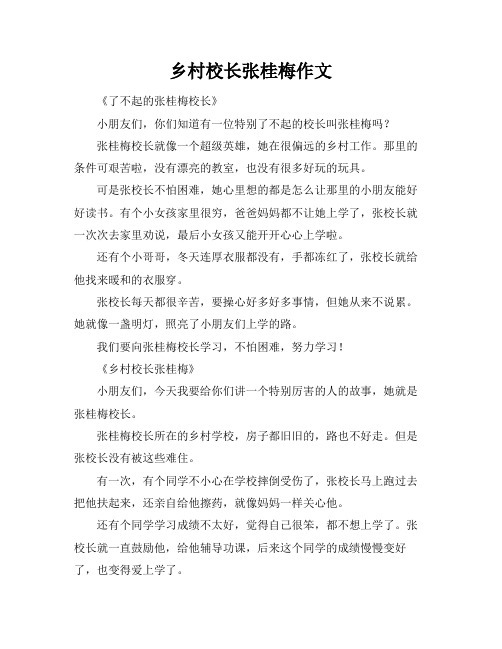 乡村校长张桂梅作文