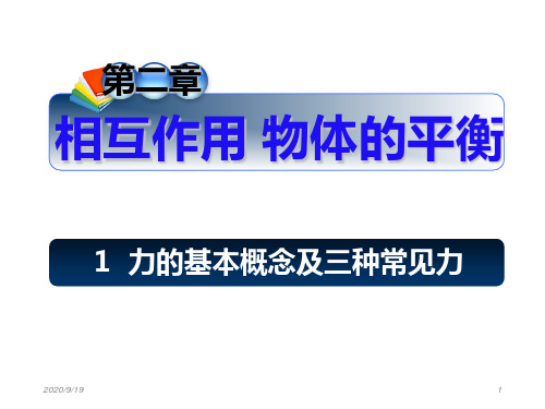 【湖南师大附中内部资料】高三物理课件:第二章1力的基本概念及三种常见力