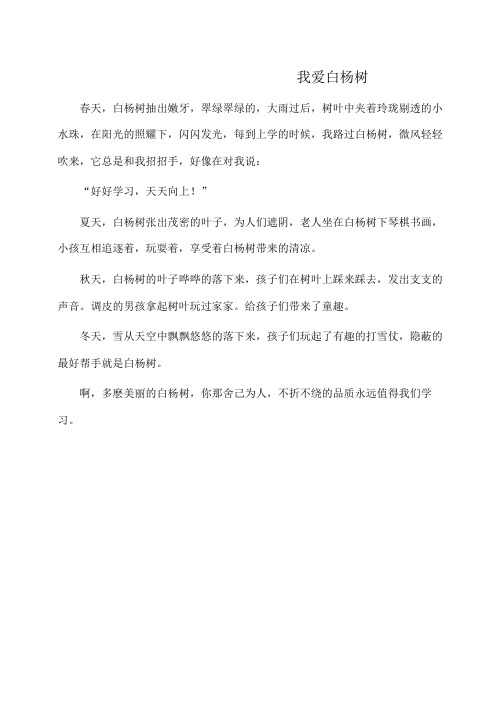 作文:我爱白杨树