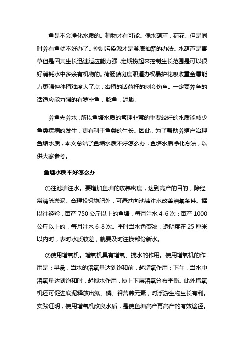 鱼塘水质净化方法
