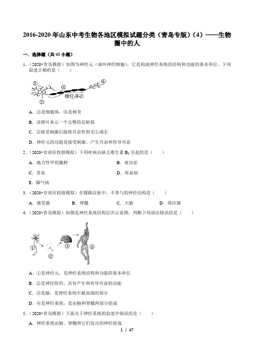 2016-2020年山东中考生物各地区模拟试题分类(青岛专版)(4)——生物圈中的人(含解析)