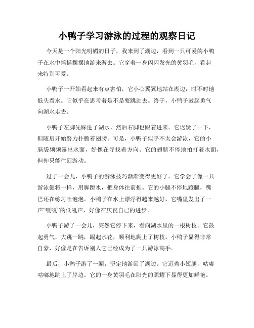 小学三年级作文小鸭子学习游泳的过程的观察日记