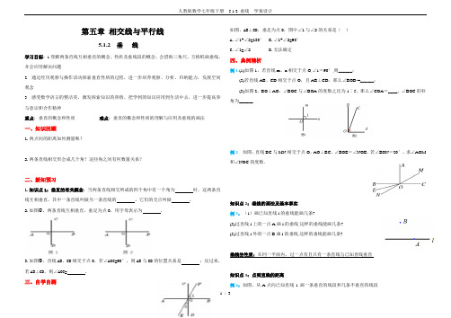 人教版数学七年级下册  5.1.2 垂线  学案设计