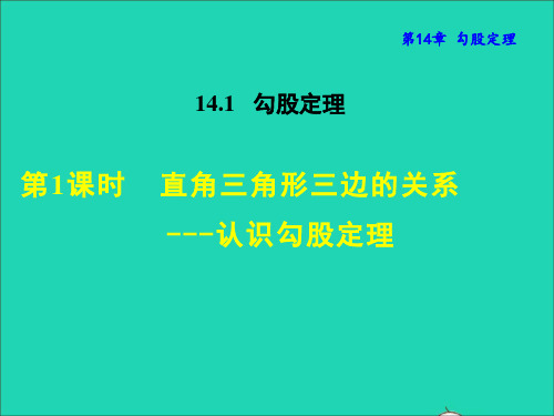 八上第14章勾股定理14、1勾股定理1直角三角形三边的关系__认识勾股定理授课课件华东师大版