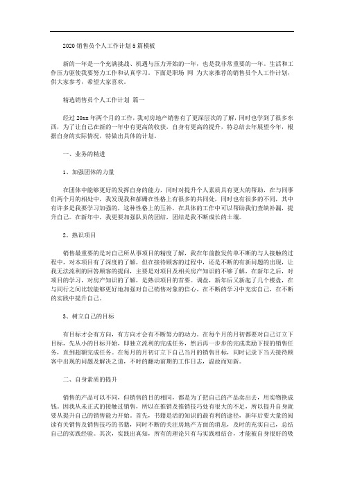 2020销售员个人工作计划5篇模板【精品】