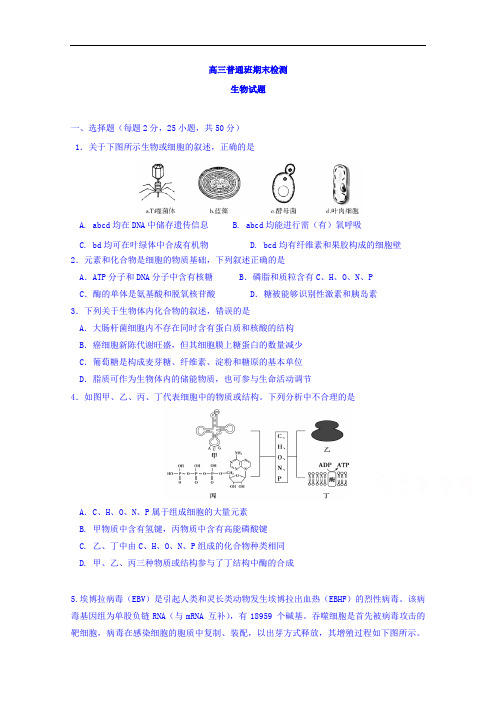 陕西省黄陵中学2017届高三上学期期末考试生物试题(普