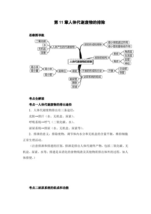 人体代谢废物的排除思维导图