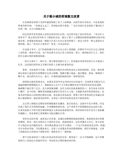 关于梁小斌的哲理散文欣赏