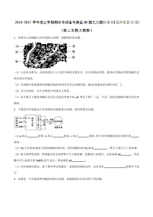 专题04 大题好拿分(提升版)-2016-2017学年上学期期末考试高二生物备考黄金30题(原卷版)