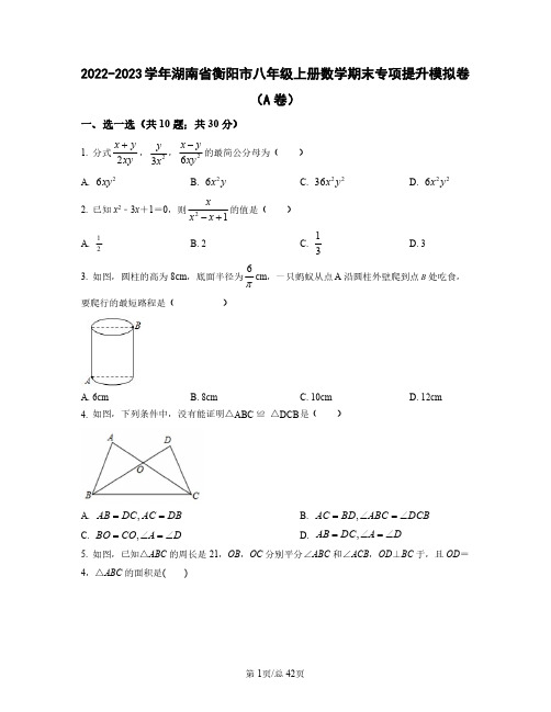 2022——2023学年湖南省衡阳市八年级上册数学期末专项提升模拟卷AB卷(含答案)