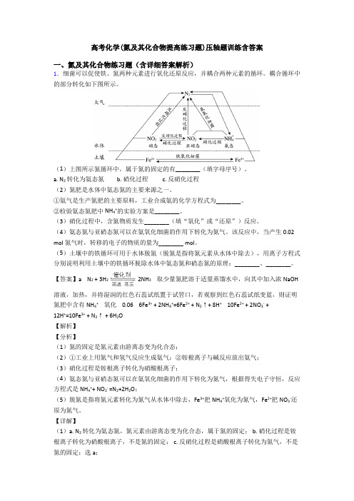 高考化学(氮及其化合物提高练习题)压轴题训练含答案