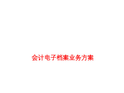 会计电子化改革：电子会计档案业务知识(总体方案 财务凭证报表数据采集归档 档案管理查阅统计)