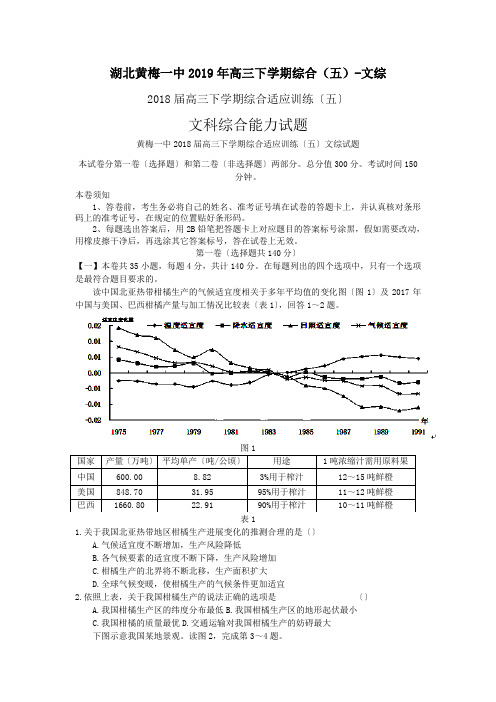 湖北黄梅一中2019年高三下学期综合(五)-文综