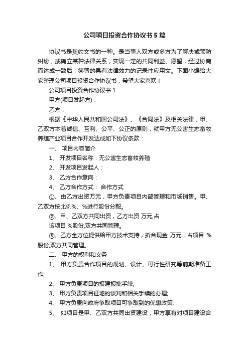 公司项目投资合作协议书5篇