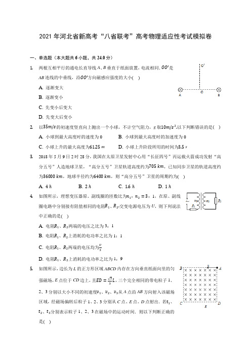 2021年河北省新高考“八省联考”高考物理适应性考试模拟卷(含解析)