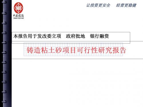 铸造粘土砂项目可行性研究报告-PPT课件