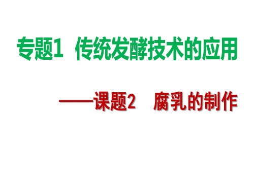 腐乳的制作
