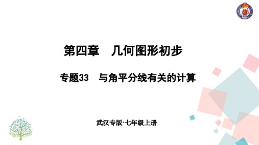 初二七年级数学上册专题33 与角平分线有关的计算ppt课件