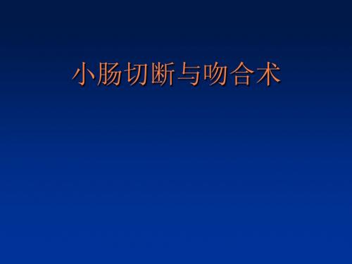 小肠切断与吻合术PPT课件