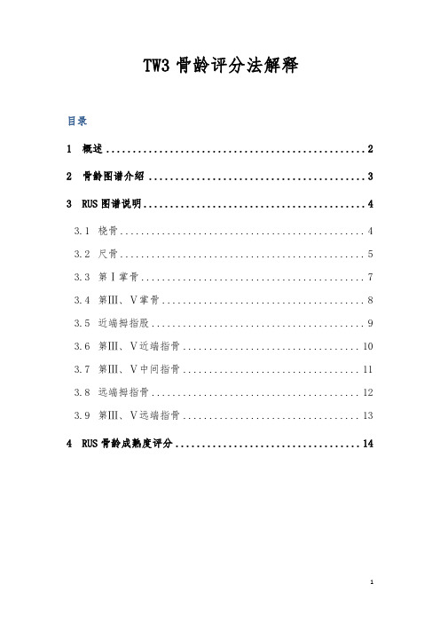 TW3骨龄评分法解释