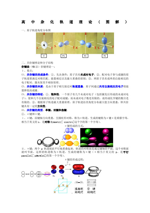 杂化轨道理论高中)