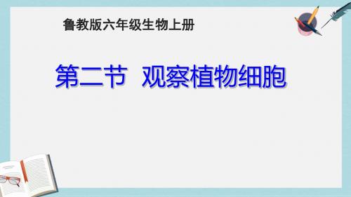 2019-2020年鲁科版五四制六年级生物上第二单元第一章第二节观察植物细胞教学课件 (共14张PPT)