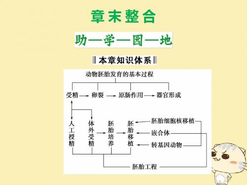 2017_2018学年高中生物第一单元生物技术与生物工程第三章胚胎工程章末整合课件中图版选修3