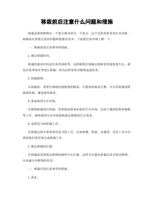 移栽前后注意什么问题和措施