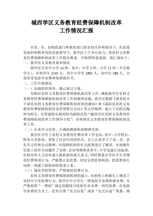 中心学校义务教育经费保障汇报