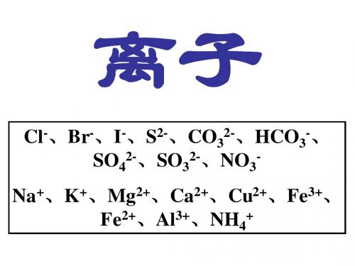 离子、气体的检验除杂