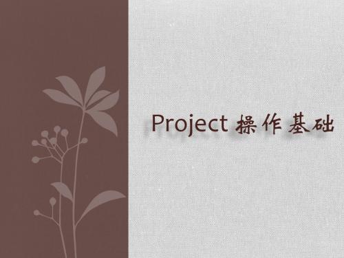 Project 操作基础