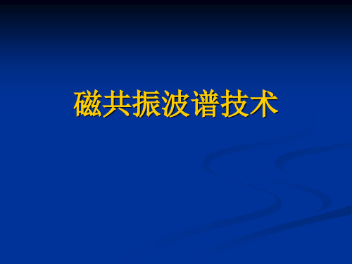 磁共振波谱技术(讲+全)PPT