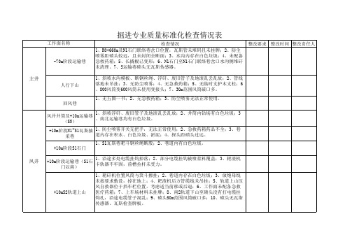 掘进专业质量标准化检查情况表