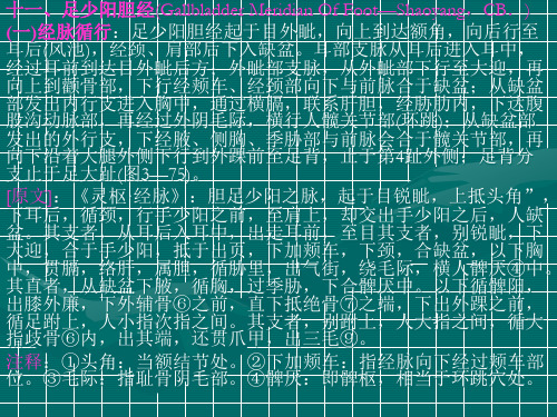 11足少阳胆经精品PPT课件