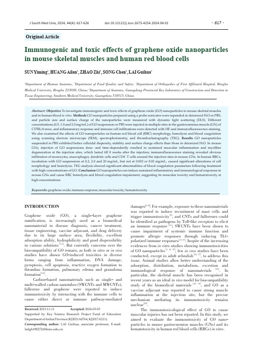氧化石墨烯纳米颗粒在小鼠骨骼肌和人血液中诱导的免疫反应与毒性效应