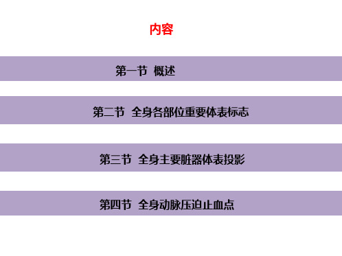 护理应用解剖学