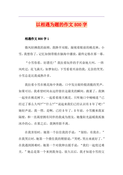 以相遇为题的作文800字