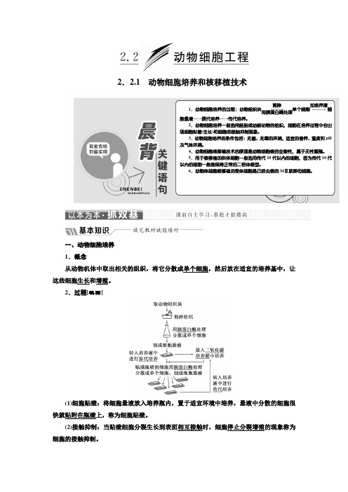 2018-2019学年高中生物人教版选修3专题2 细胞工程专题2  2.2  2.2.1 动物细胞培养和核移植技术